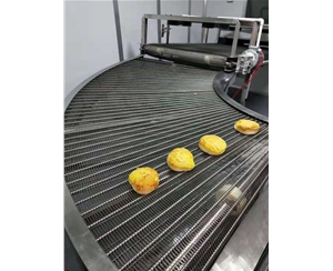 浙江食品网带转弯机