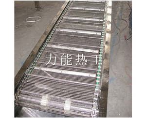 浙江链网输送机