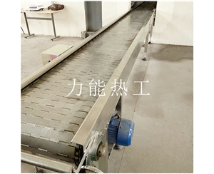 浙江链板输送机